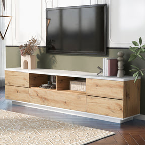 Modern TV stand & Media Console