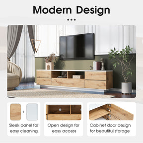 Modern TV stand & Media Console