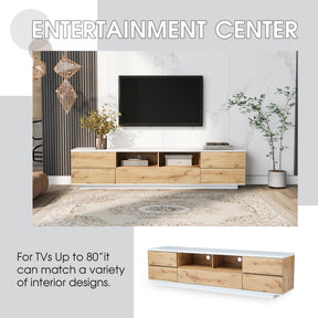 Modern TV stand & Media Console